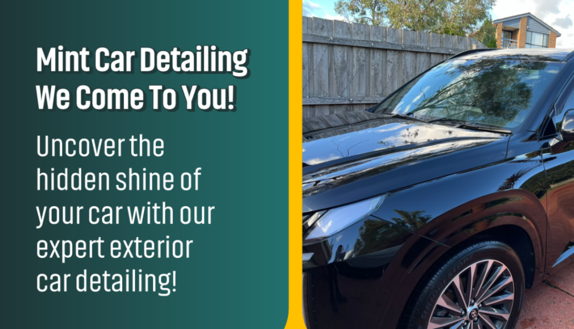 exterior car detailing