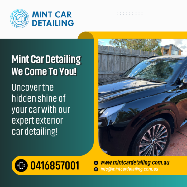 exterior car detailing