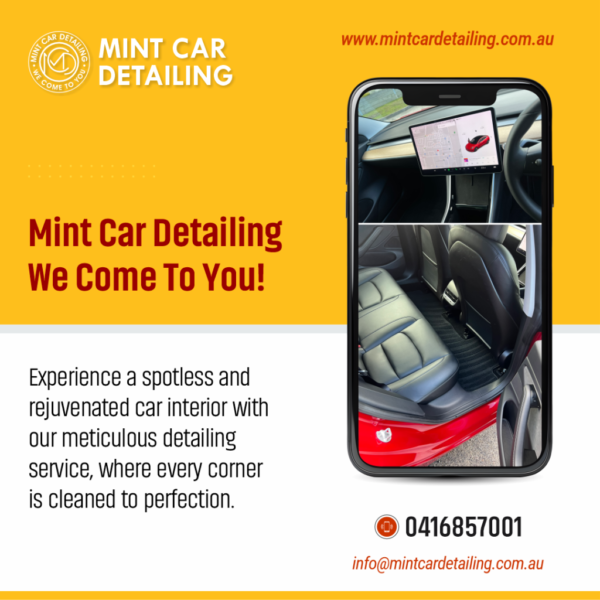 mint car detailing